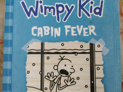 Diary of a Wimpy Kid - Cabin Fever